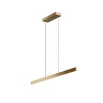 Edge Linear S1000 Pendel Brass - LIGHT-POINT