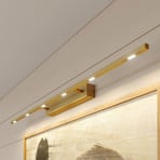 Quitani oświetlenie obrazów LED Tolu, matowy mosiądz, długość 119 cm