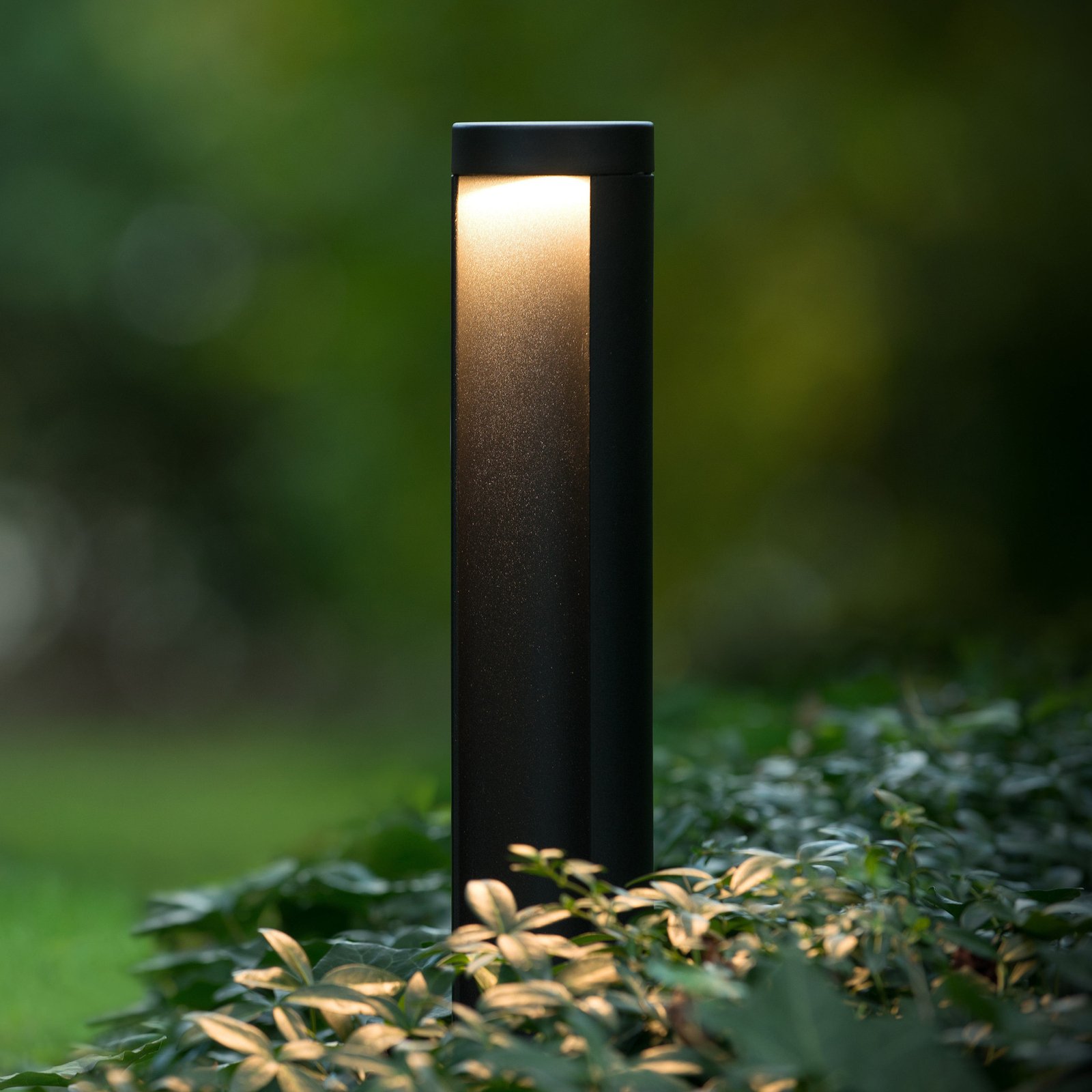 Combo LED-väglampa, svart, 65 cm, aluminium, IP54