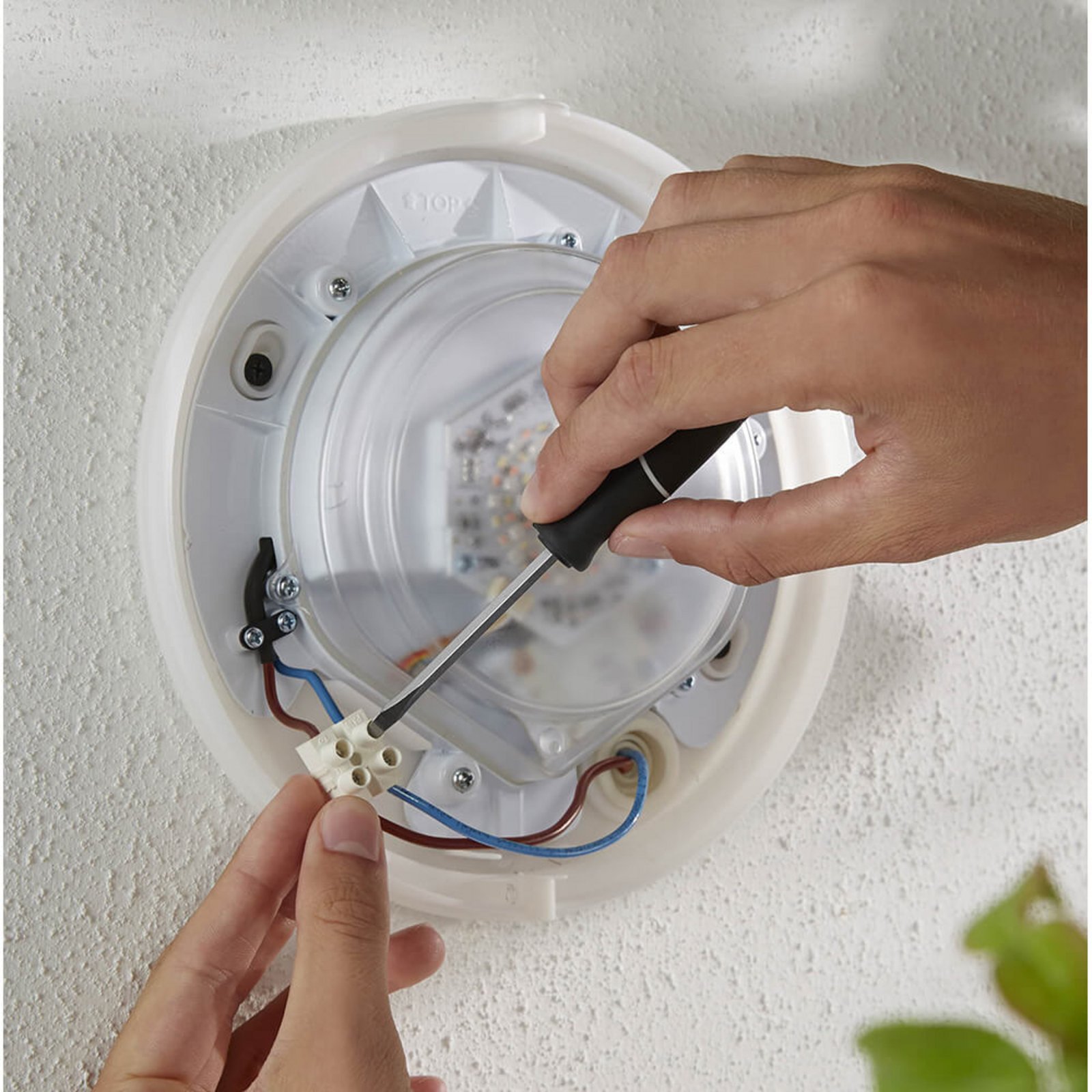 Daylo Applique Murale d'Extérieur White/Color Amb. Inox - Philips Hue