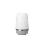 Spirit Portable Buiten Lamp L Platinum Gray - Blomus