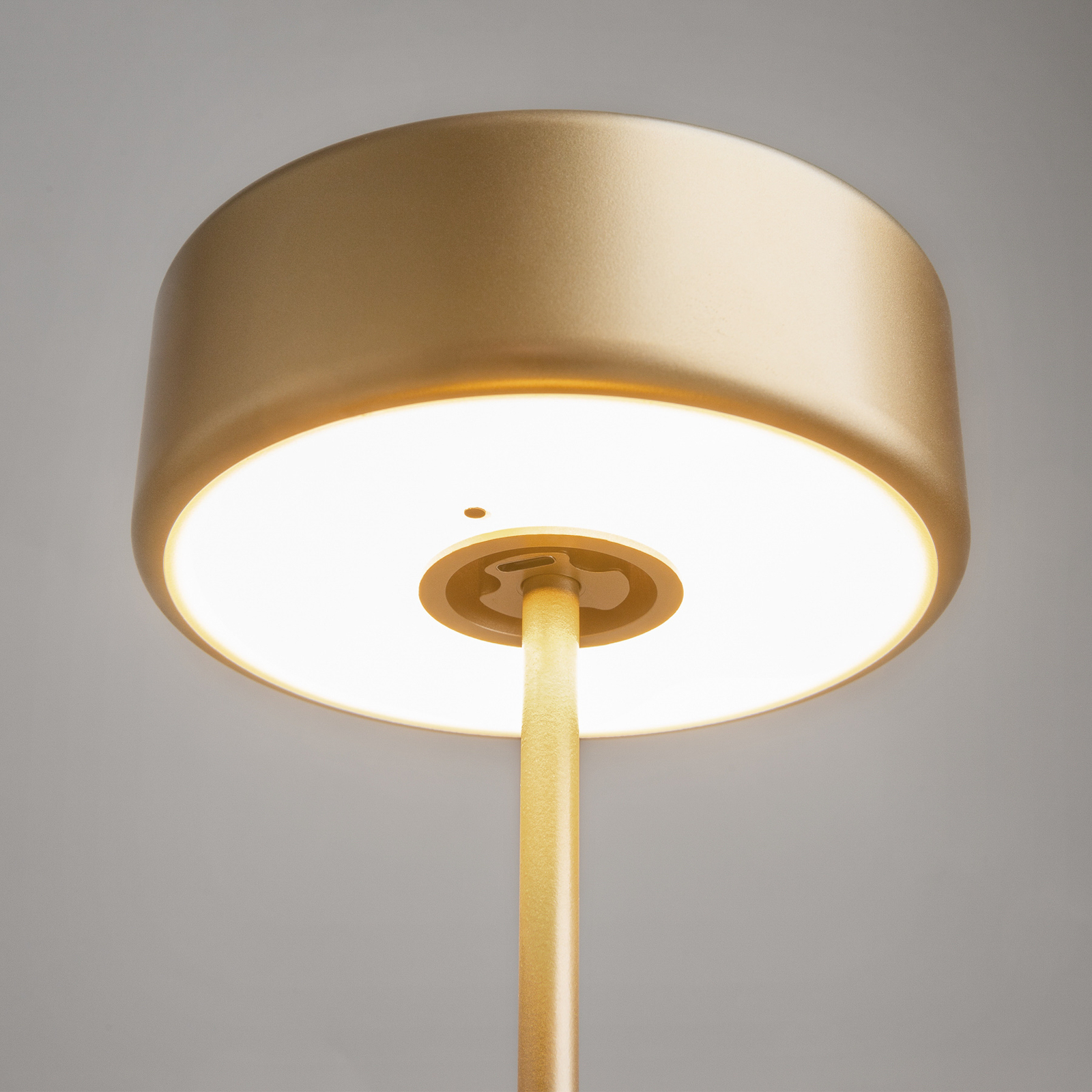 Maytoni LED baterijska stolna lampa AI Collaboration, aluminij, zlato